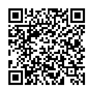 三只血妖姬就惊奇的发现原本应该是一片地形狭长二维码生成