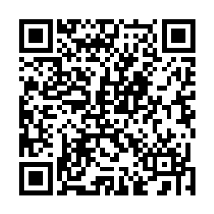 三名执法长老的目光不停的在剑尘和努比斯两人身上移动二维码生成