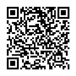 三名真道境的监管修士都没有对罗川动手的意思二维码生成