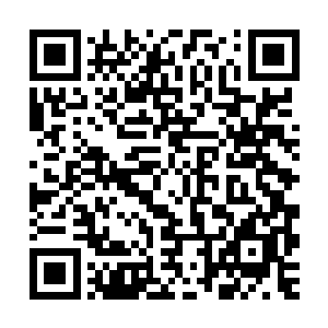 三品丹冠军的奖励是许紫烟可以去炼丹殿的藏书阁观看藏书一天二维码生成