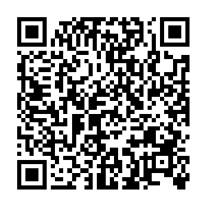 三哥刚刚陪着这位张仙子在坊市里略转了转――这位是张萧晗仙子二维码生成