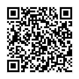 三圣宗所在的这个地方乃是一片十分辉煌的修炼圣地二维码生成