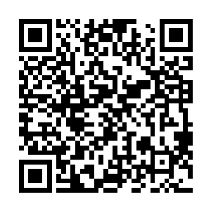 三大势力都不可能拿出这么多人形符印去强行挑战一个人二维码生成