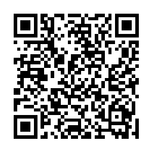 三大宗门发来的黑帖的影响也渐渐的在铁龙宗显现了出来二维码生成