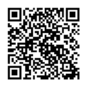 三大家族在皇家训练营的子弟都突然以各种理由返回了家族二维码生成