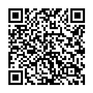 三大廉政机构在仅仅半个月的时间内完全搭建了起来二维码生成