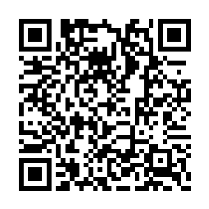 三大派在我镇海山的人马已经全部被小弟给杀光二维码生成