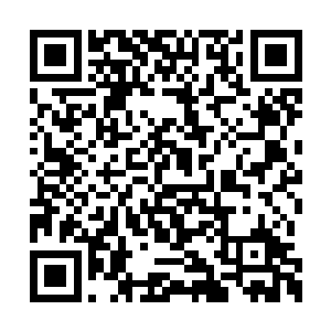 三大选帝侯家族对东方家早有极大的不满和积怨二维码生成