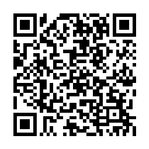 三天之内让他们送一头等同仙龙一样的荒兽过来二维码生成