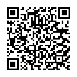 三天前她被南宫流云强行抱回来的当然就应该新生联赛比赛啊二维码生成