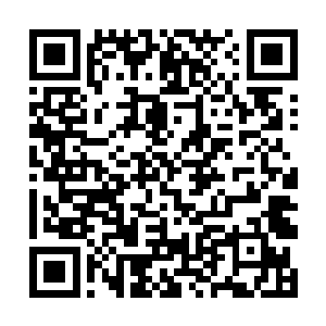 三天前那一战陶家本想借助联盟的势力灭掉我们龟族二维码生成