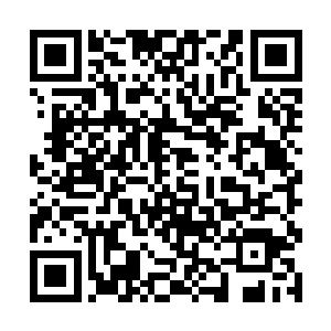 三妹儿并不知道我是说真的还是跟以前一样在安慰她二维码生成