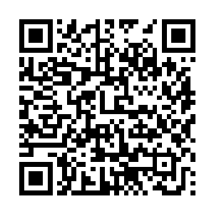 三姐妹中的老大――那个能手撕黑龙的悍妞亲自出手二维码生成