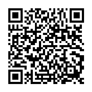 三姑娘知道四姑娘想给老夫人还有夫人做护手跟围脖却没有皮子二维码生成