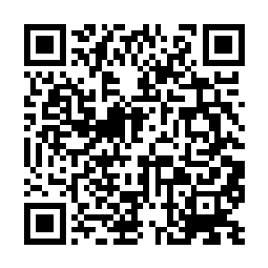 三家的祖地……不知道你有没有机会真的瞒天过海二维码生成