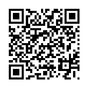 三寸……由原本的萌芽破壳化作小苗二维码生成