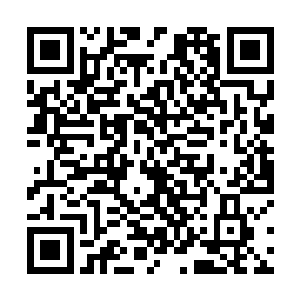 三岁的小孩子也许会跟着大一点的哥哥跟着去欺负别人二维码生成