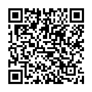 三年前自己和一班手足正是在这样一头燃烧的红发带领之下二维码生成
