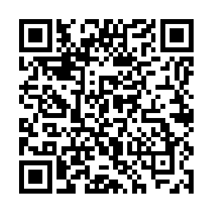 三年级的这群学生们哪里还有时间去揣测殊大人的事二维码生成