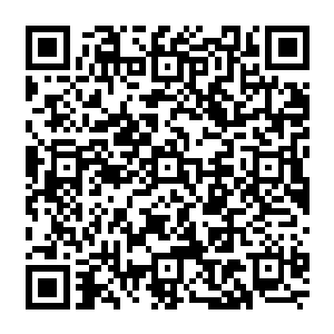 三成的元神之力加上五成五的圣元加上两成五的下品中等圣域绝学并且融合了极光苍焱二维码生成