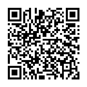 三村村巫和部分村民看到满地药草就这么从无到有二维码生成