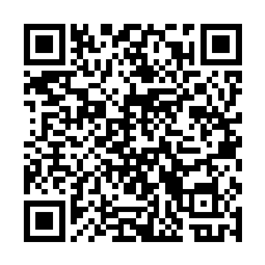 三条几乎一模一样的扁扁的蛇头就出现在密林的边缘二维码生成