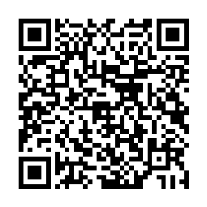 三根比发丝还细的血魂神针就像会动的蚯蚓和灵蛇一样二维码生成