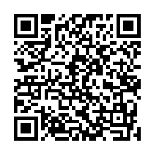 三流家族对于许琴扬带着的实力来说根本就是一只只蝼蚁二维码生成