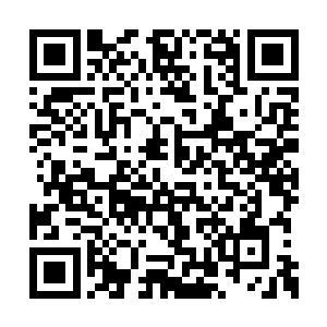 三滴神兽精血在唐劫的灵海中汇聚成大片的血云二维码生成