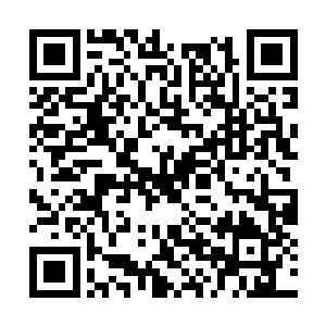 三煞追魂阵的灵气虽然主要靠那棵诡异的大树供应二维码生成