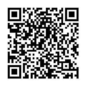 三王爷是认为本皇子会胡乱指认不相干的人当天雨国的公主二维码生成