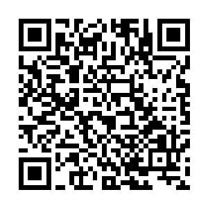 三百万份这样不可思议的销量就出现在了一份超市小报身上二维码生成