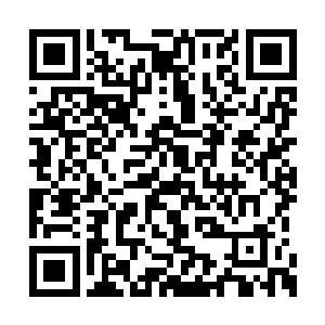 三百余身穿白衣剑服的进士在褐色的大地上奔跑二维码生成