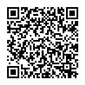 三百六十五杆散发出一股股无比玄奥气息的星辰幡漂浮在龙傲天的面前二维码生成