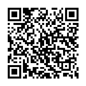 三百多万人族修士都呆滞地望着空中的那个修士二维码生成