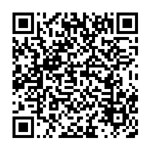 三百多名只剩肉身之力擅战修士和五名归虚境修士厮杀缠斗在一起二维码生成