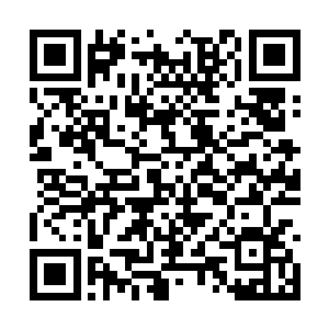 三百年前有一伙人打劫了天庭专门种植灵草的灵岛二维码生成