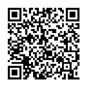 三百年的要三千两……五百年血参要一万两银子二维码生成
