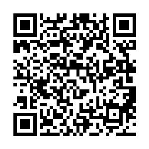 三种完全不应该同时出现的颜色竟然同时出现在一朵花上二维码生成