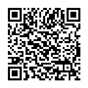 三竹教的教主和天霜殿的殿主也是第一时间冲了上去二维码生成