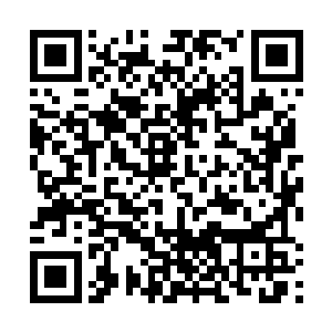 三老爷已经很多年不曾被老太太当着一众的丫鬟数落了二维码生成