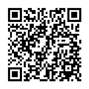 三股势力的主力人员虽然都是二职高的在校学生二维码生成