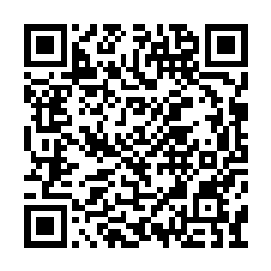 三角型的巨大瞳孔却渐渐失去了原有的碧绿色彩二维码生成