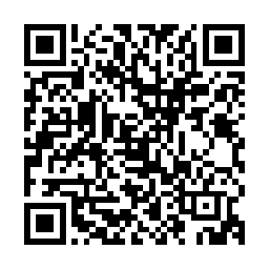三道恐怖的狂暴的攻击也直接迎上了虚空之中的三条恐怖的雷龙二维码生成