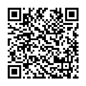 三道由小到大的身影就被那长戟串得像羊肉串似的二维码生成