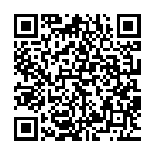 三里部的当中的几千狂信徒可以为他一声令下毫不犹豫的去死二维码生成