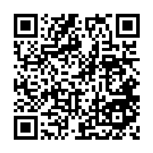 三长老蔡振业带着十八尊邪龙秘卫从飞梭上下来二维码生成