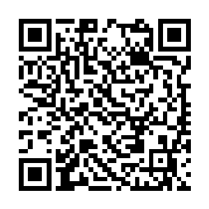 三颗高低不同的纵树就被安放在伯爵府前的草地上二维码生成