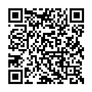 上一刻还处于上风的秦宇这一刻便是落入了下风二维码生成