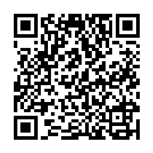 上一场陈易清的卡牌虽然没有什么亮眼的支援什么的二维码生成